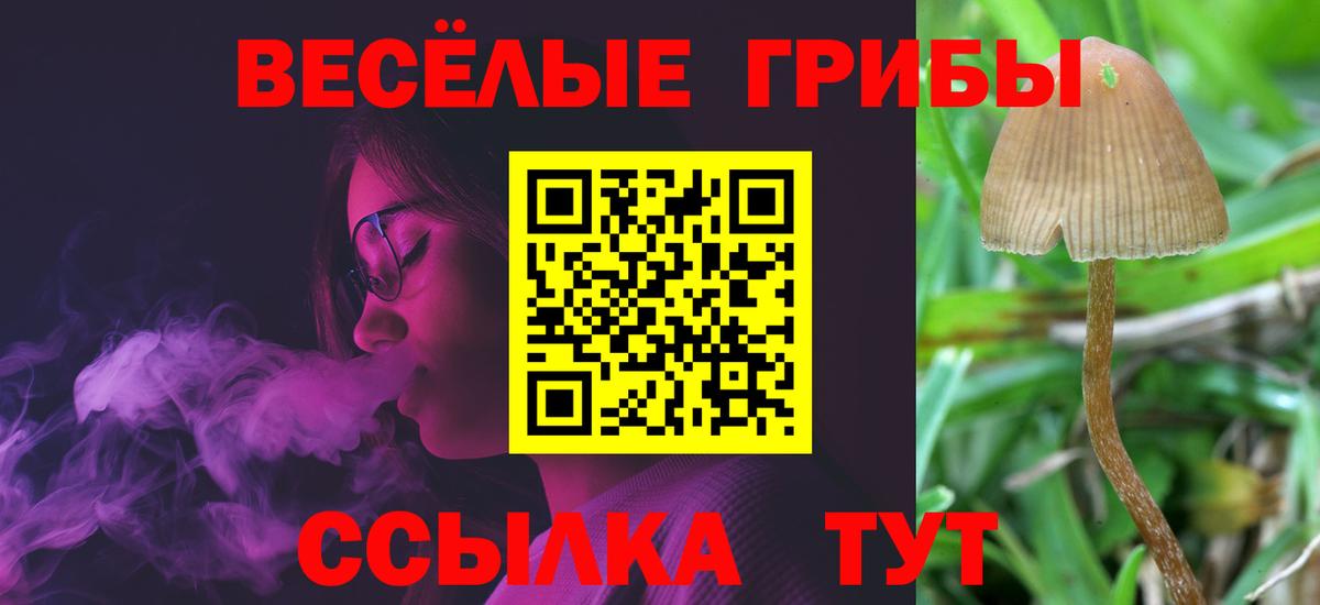 Галлюциногенные грибы Magic Shrooms  Вход с VPN  Псилоцибиновые грибы Psilocybine cubensis  Людиново 